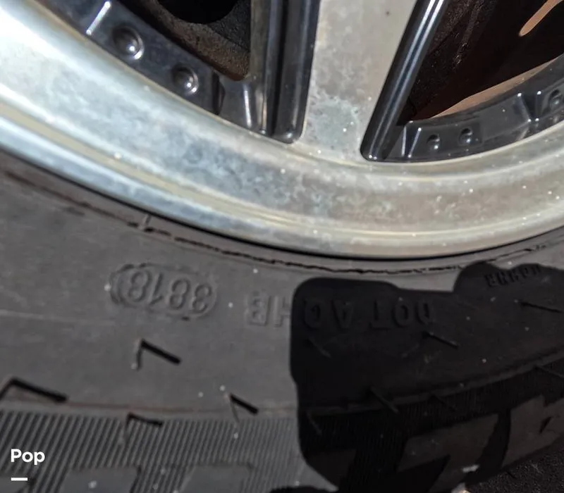 Slide: The Image of Stingray 201DS 2020 - 16188747