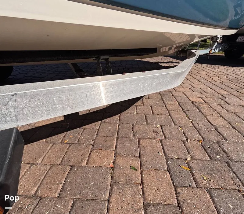 Slide: The Image of Stingray 201DS 2020 - 16188748