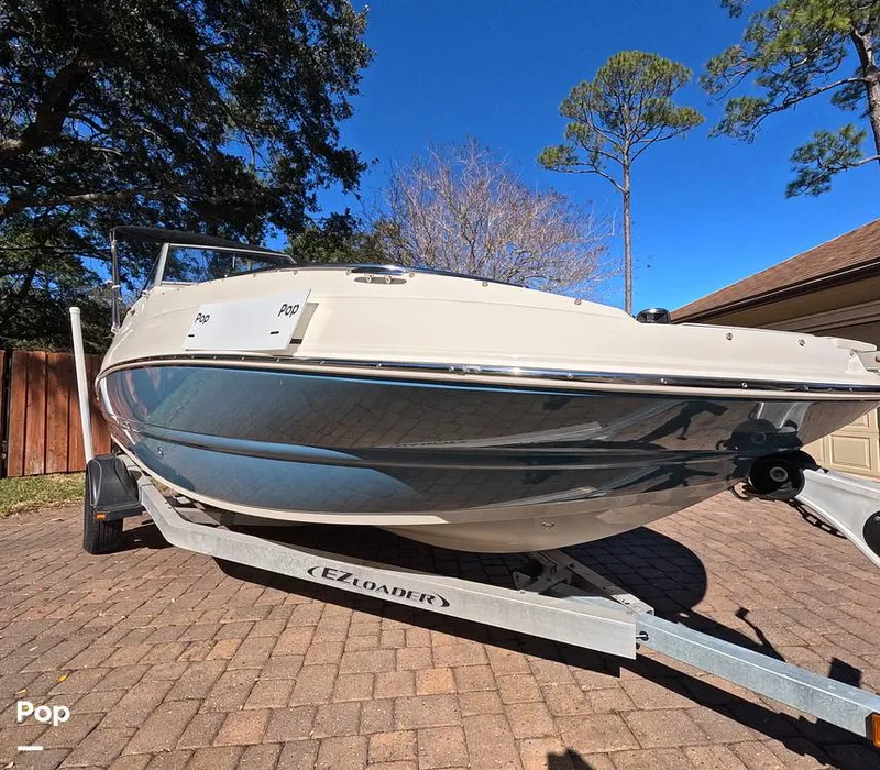 Slide: The Image of Stingray 201DS 2020 - 16188750