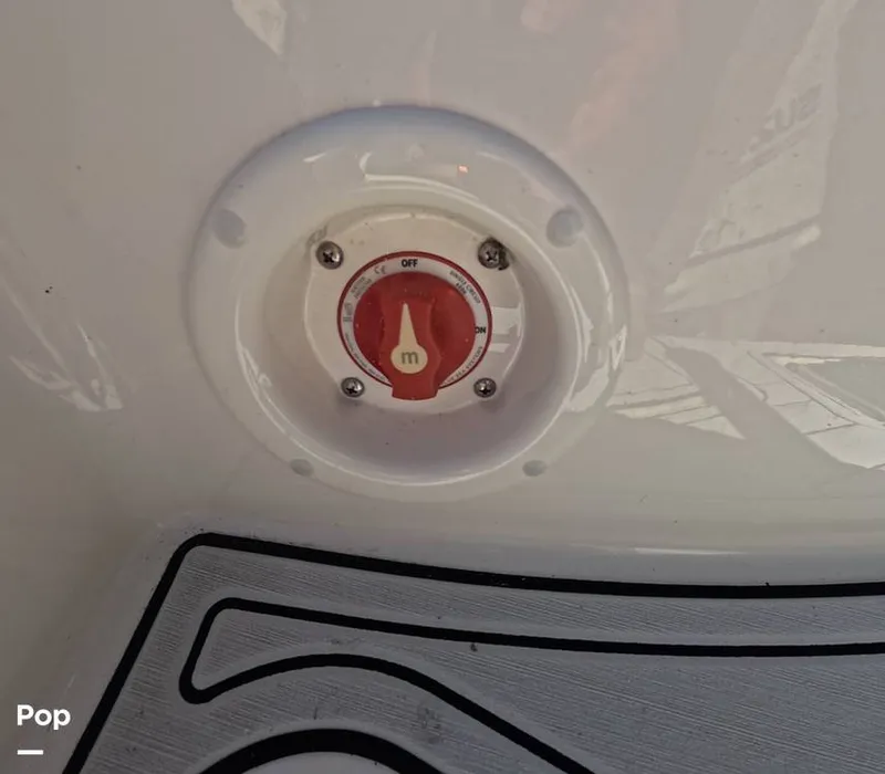 Slide: The Image of Stingray 201DS 2020 - 16188757