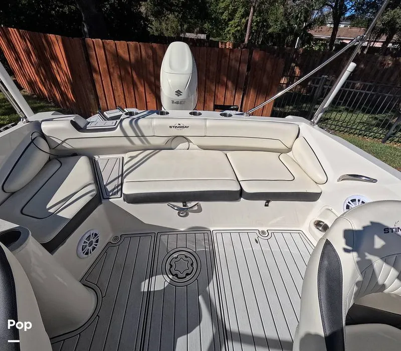 Slide: The Image of Stingray 201DS 2020 - 16188758