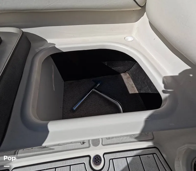 Slide: The Image of Stingray 201DS 2020 - 16188763