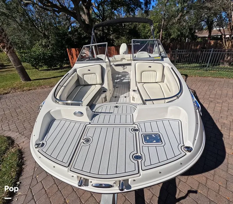 Slide: The Image of Stingray 201DS 2020 - 16188726