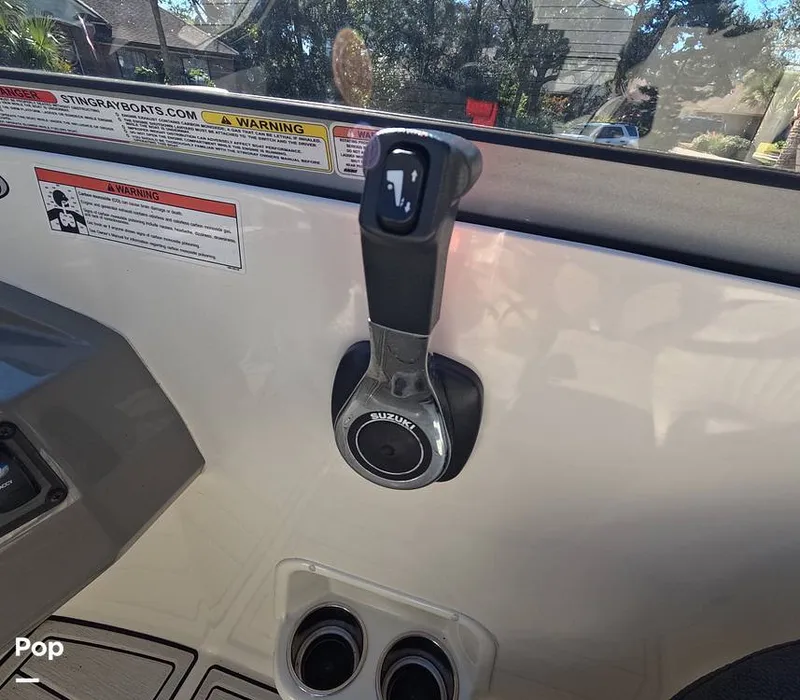 Slide: The Image of Stingray 201DS 2020 - 16188771