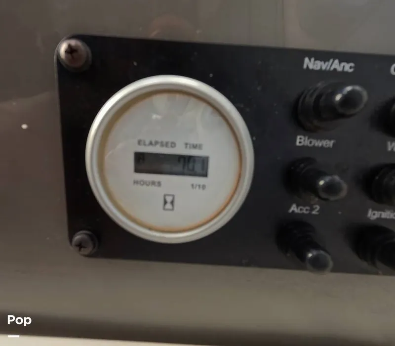 Slide: The Image of Stingray 201DS 2020 - 16188783