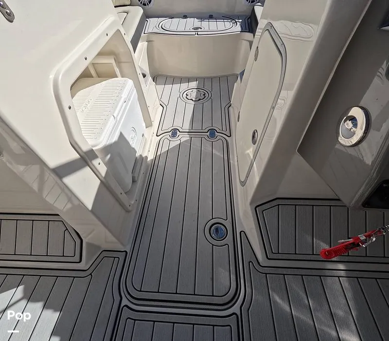 Slide: The Image of Stingray 201DS 2020 - 16188788