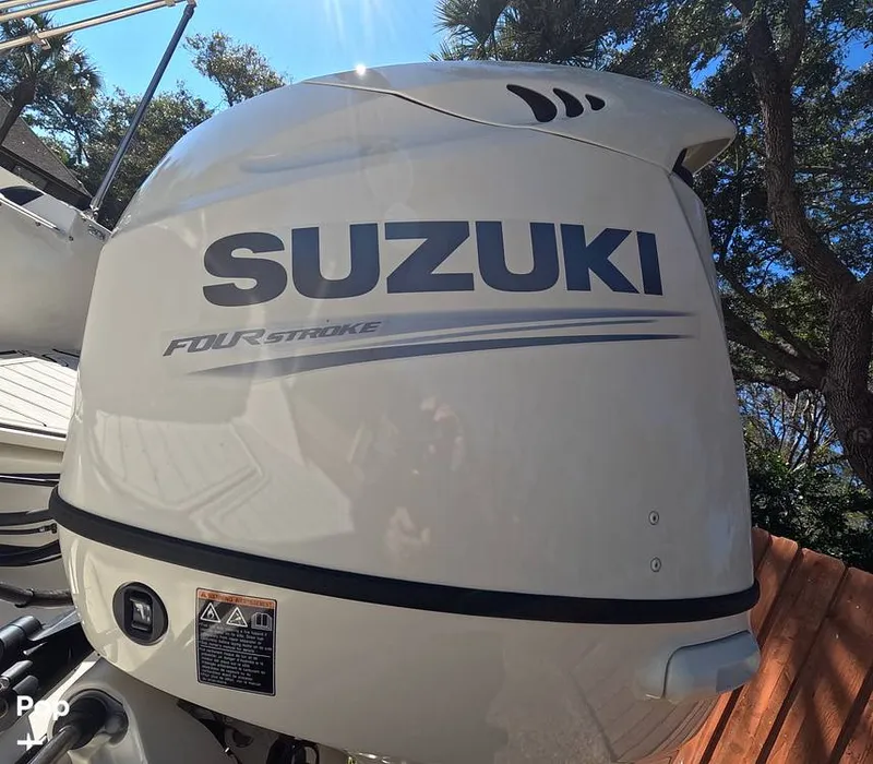 Slide: The Image of Stingray 201DS 2020 - 16188739