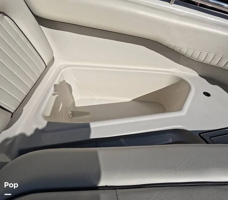 Slide: The Image of Stingray 201DS 2020 - 16188799