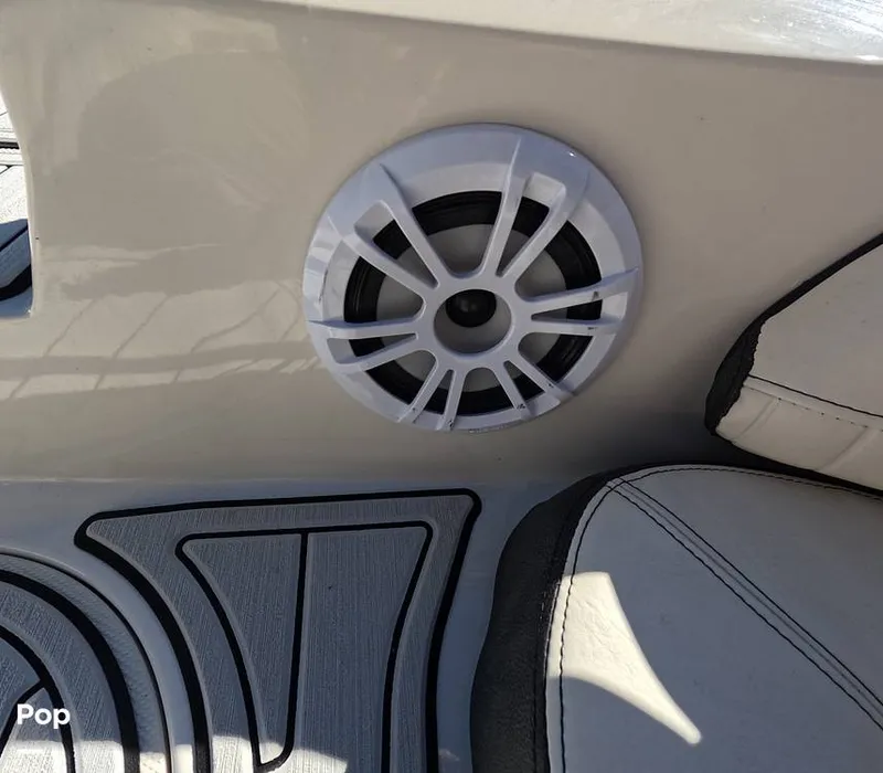 Slide: The Image of Stingray 201DS 2020 - 16188801