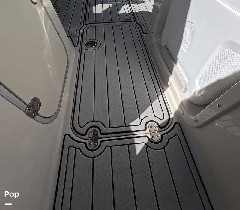 Slide: The Image of Stingray 201DS 2020 - 16188802