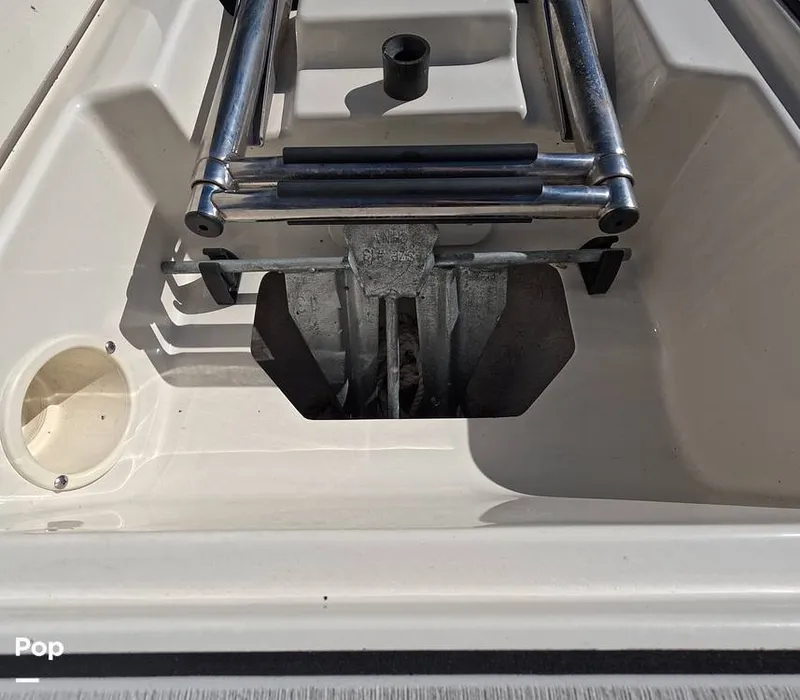 Slide: The Image of Stingray 201DS 2020 - 16188807