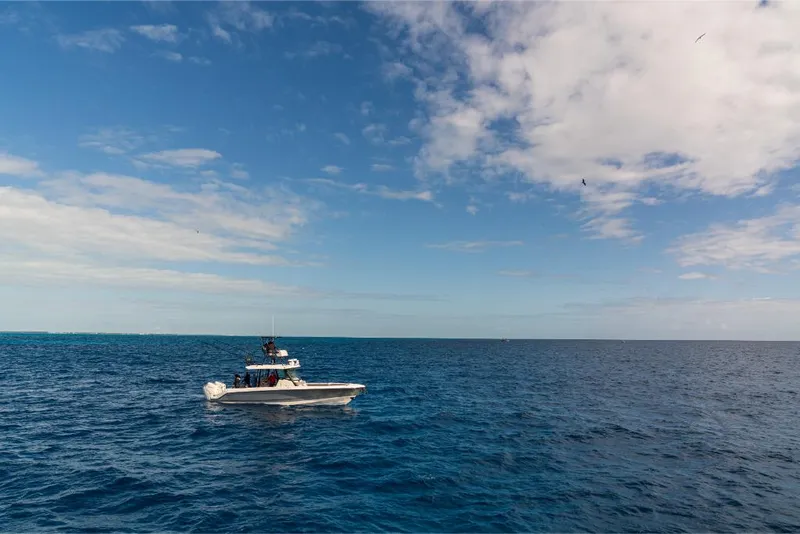 Slide: The Image of Boston Whaler 360 Outrage 2026 - 148