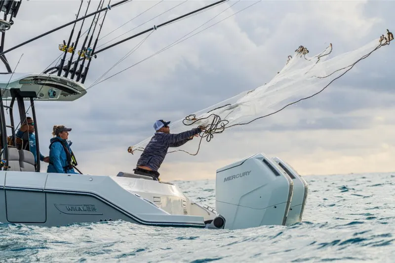 Slide: The Image of Boston Whaler 360 Outrage 2026 - 189