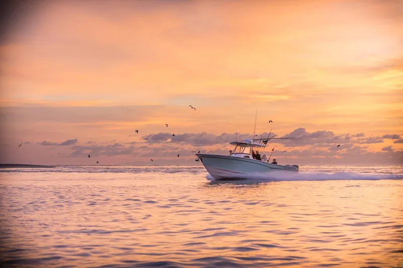 Slide: The Image of Grady-White Canyon 306 2026 - 5