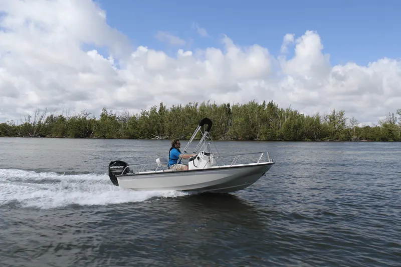 Slide: The Image of Boston Whaler 150 Montauk 2026 - 32