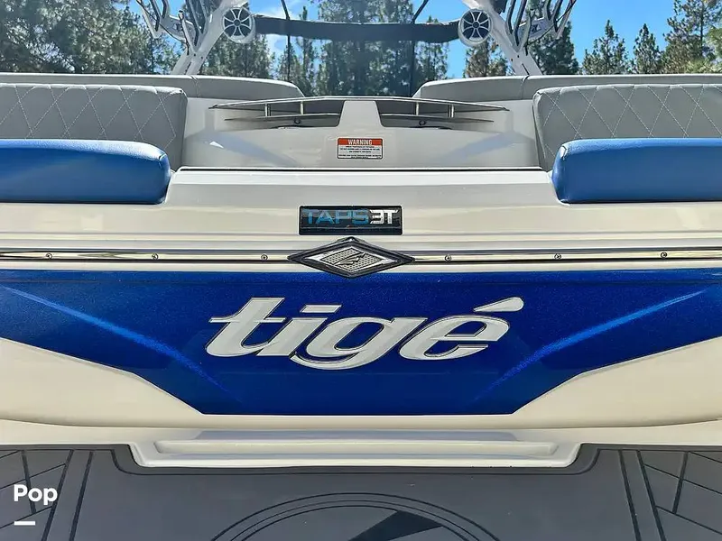 Slide: The Image of Tige Z1 2022 - 16477439