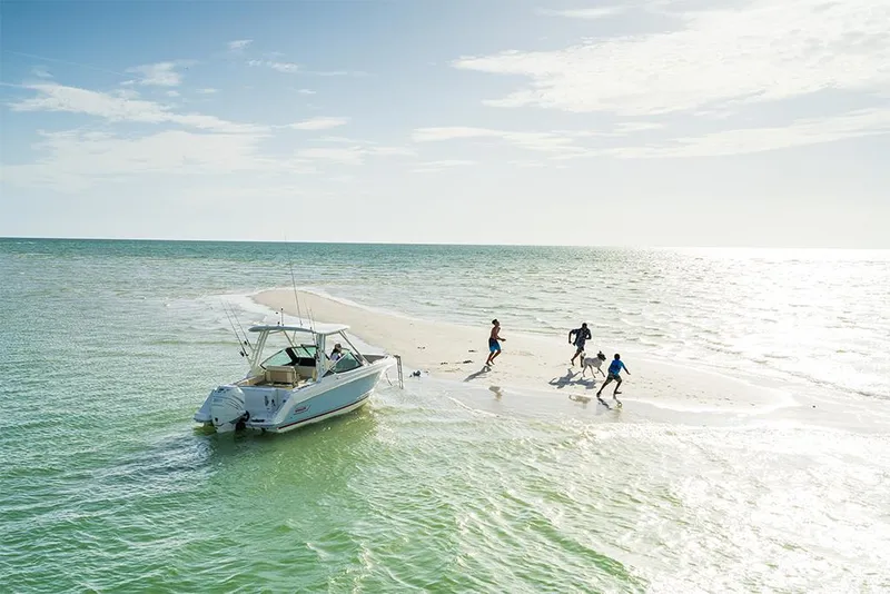 Slide: The Image of Boston Whaler 240 Vantage 2026 - 12