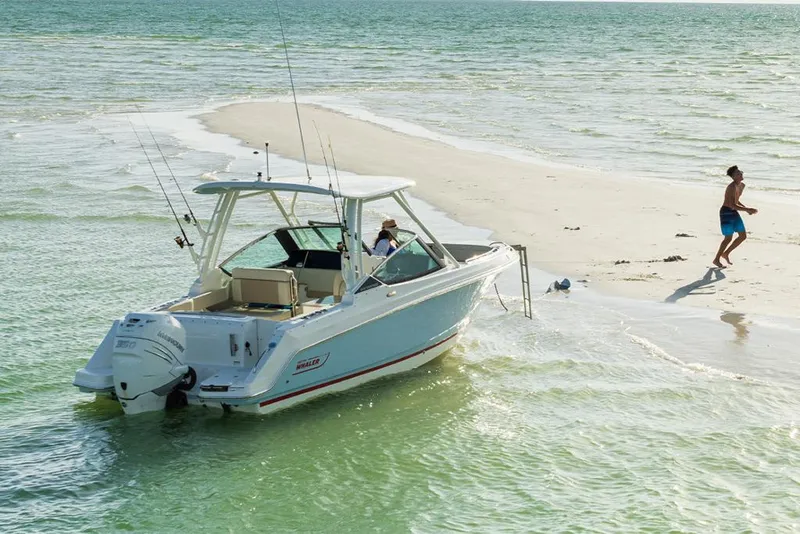 Slide: The Image of Boston Whaler 240 Vantage 2026 - 5