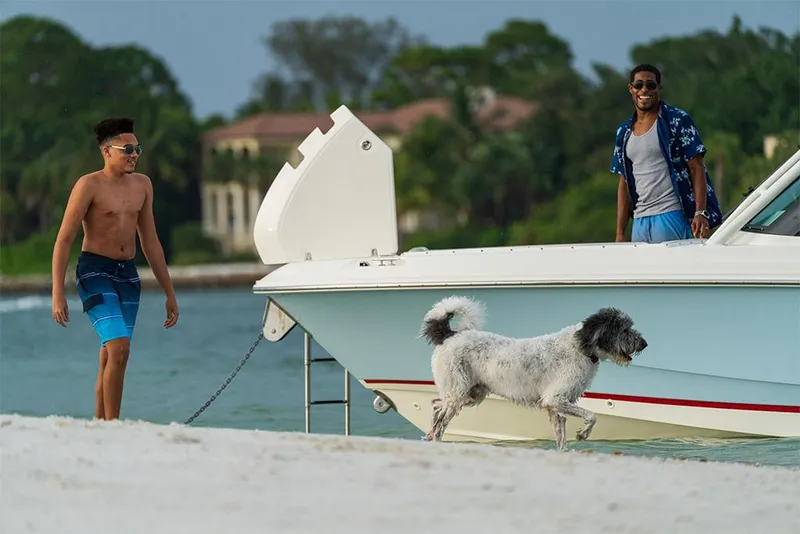 Slide: The Image of Boston Whaler 240 Vantage 2026 - 66