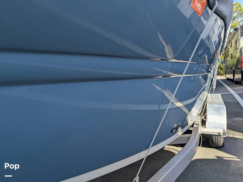 Slide: The Image of Stingray 216CC 2021 - 16209572