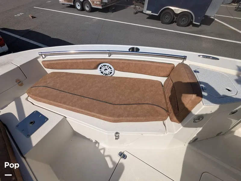 Slide: The Image of Stingray 216CC 2021 - 16190487