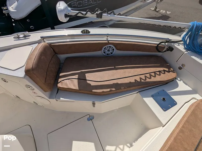 Slide: The Image of Stingray 216CC 2021 - 16190489