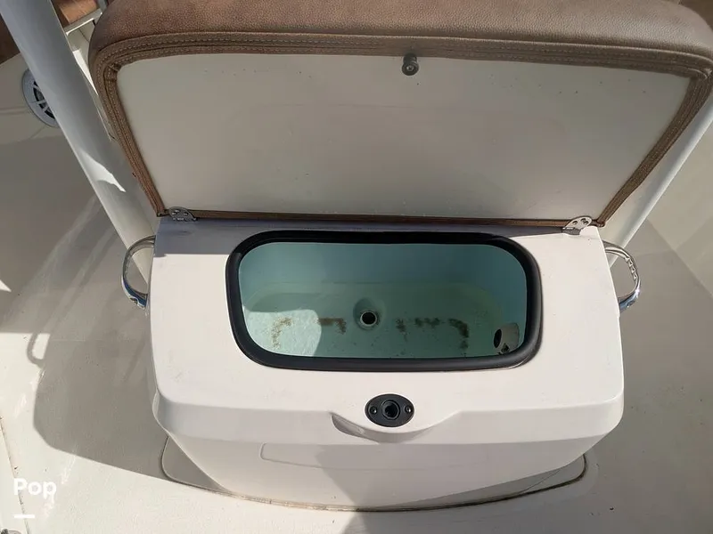 Slide: The Image of Stingray 216CC 2021 - 16190491