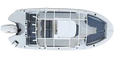 Slide: The Image of Stingray 216CC 2021 - 16188668