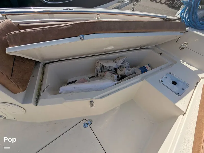 Slide: The Image of Stingray 216CC 2021 - 16190492