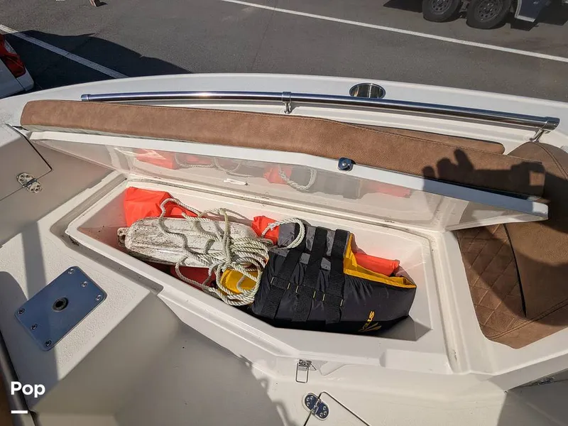 Slide: The Image of Stingray 216CC 2021 - 16190493