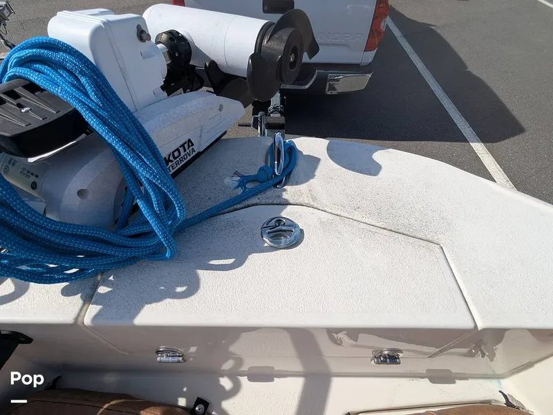 Slide: The Image of Stingray 216CC 2021 - 16190494