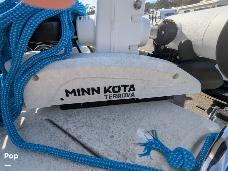 Slide: The Image of Stingray 216CC 2021 - 16190496