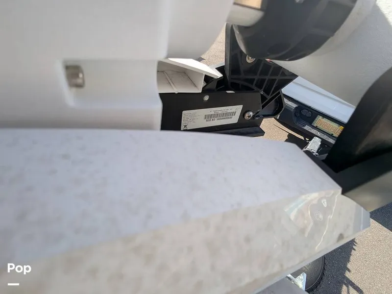 Slide: The Image of Stingray 216CC 2021 - 16190497