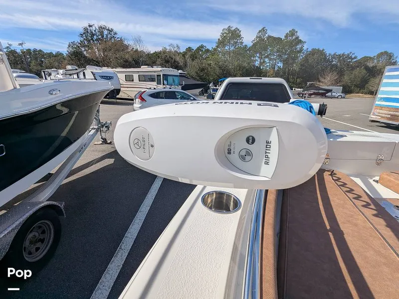 Slide: The Image of Stingray 216CC 2021 - 16190498