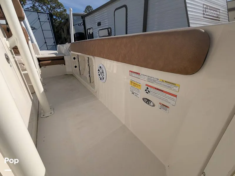 Slide: The Image of Stingray 216CC 2021 - 16190501