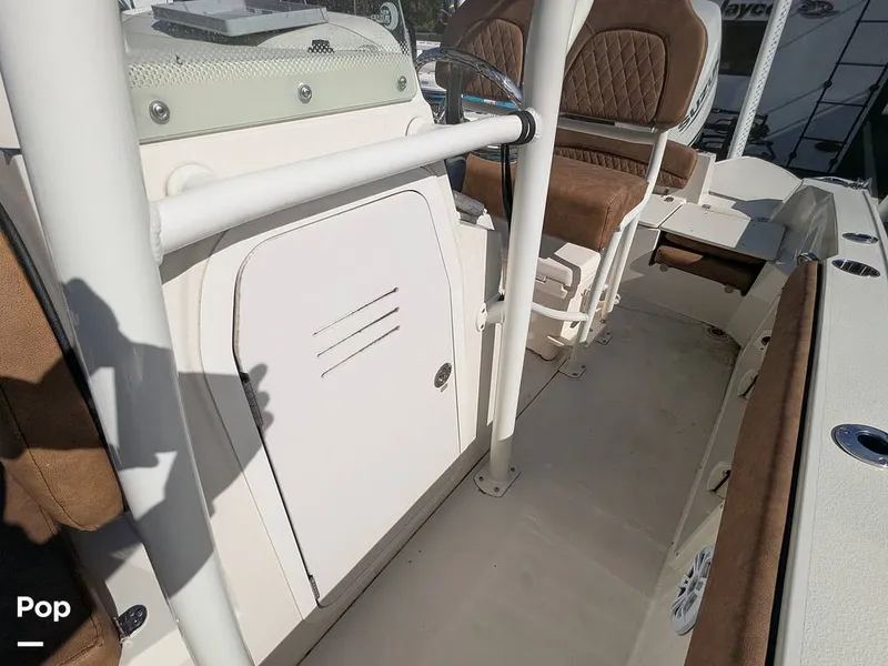 Slide: The Image of Stingray 216CC 2021 - 16190503