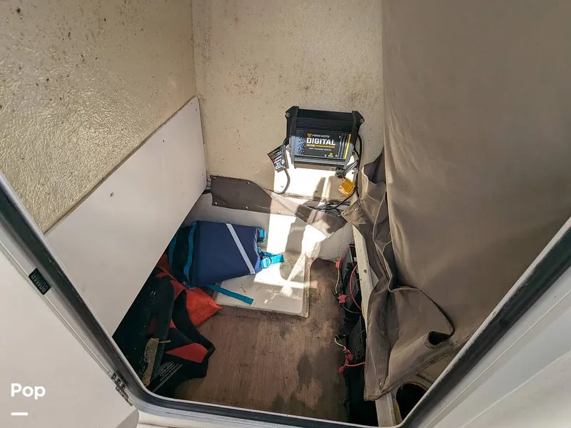 Slide: The Image of Stingray 216CC 2021 - 16190504