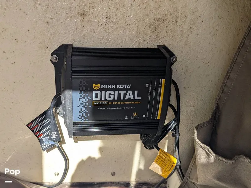 Slide: The Image of Stingray 216CC 2021 - 16190505