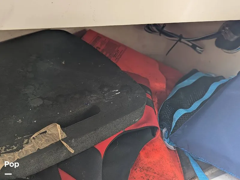 Slide: The Image of Stingray 216CC 2021 - 16190506