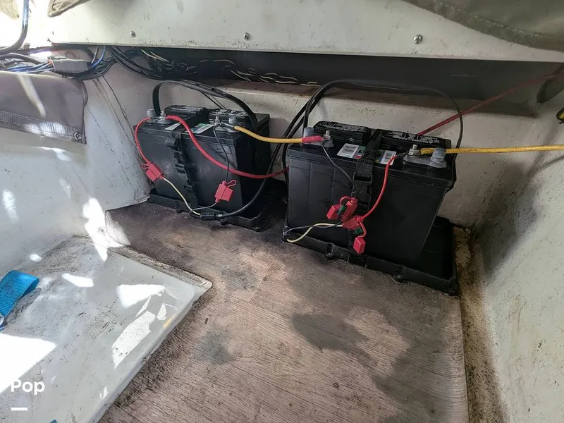 Slide: The Image of Stingray 216CC 2021 - 16190507