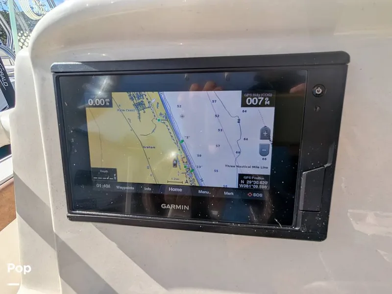 Slide: The Image of Stingray 216CC 2021 - 16190582