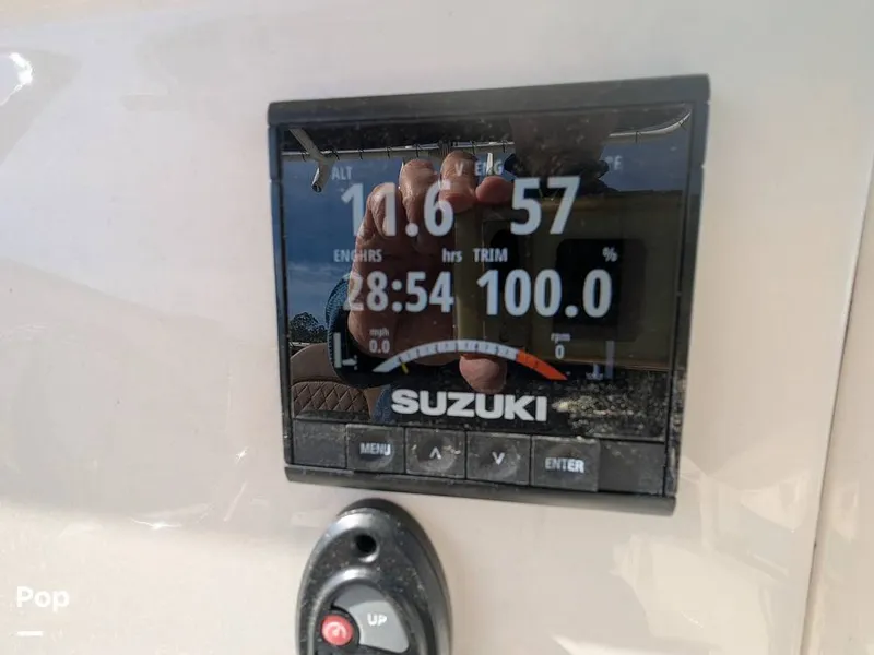 Slide: The Image of Stingray 216CC 2021 - 16190583