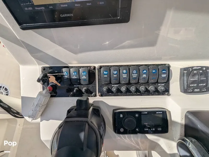 Slide: The Image of Stingray 216CC 2021 - 16190586