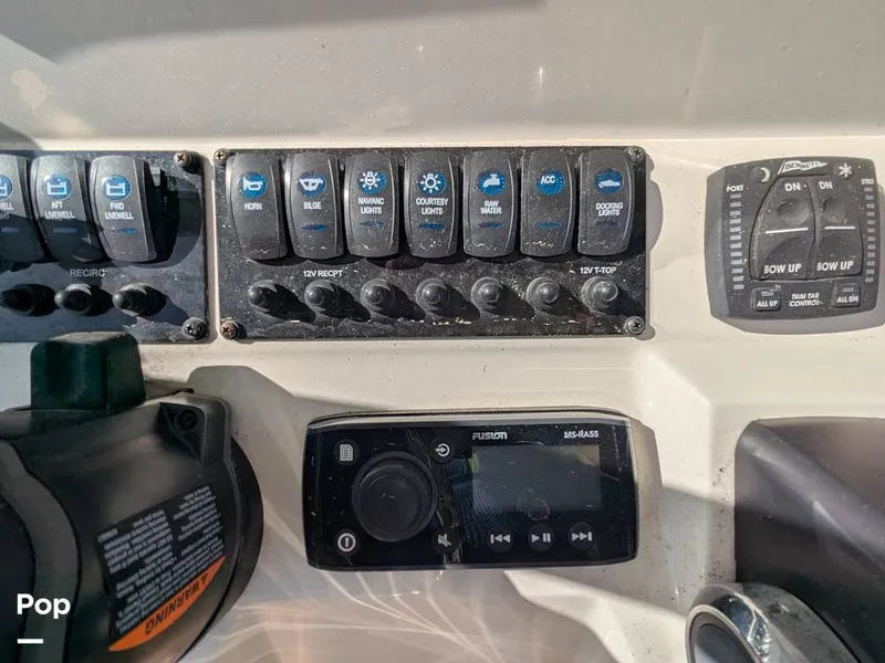 Slide: The Image of Stingray 216CC 2021 - 16190587