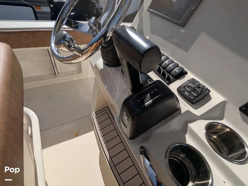 Slide: The Image of Stingray 216CC 2021 - 16190590