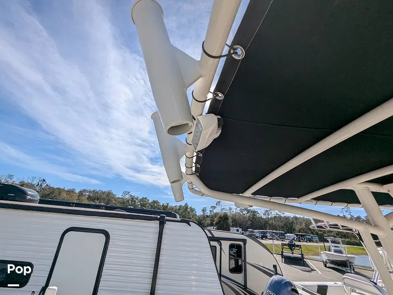 Slide: The Image of Stingray 216CC 2021 - 16190598