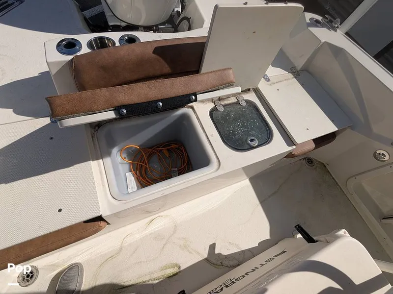 Slide: The Image of Stingray 216CC 2021 - 16190602