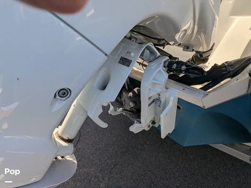 Slide: The Image of Stingray 216CC 2021 - 16190608