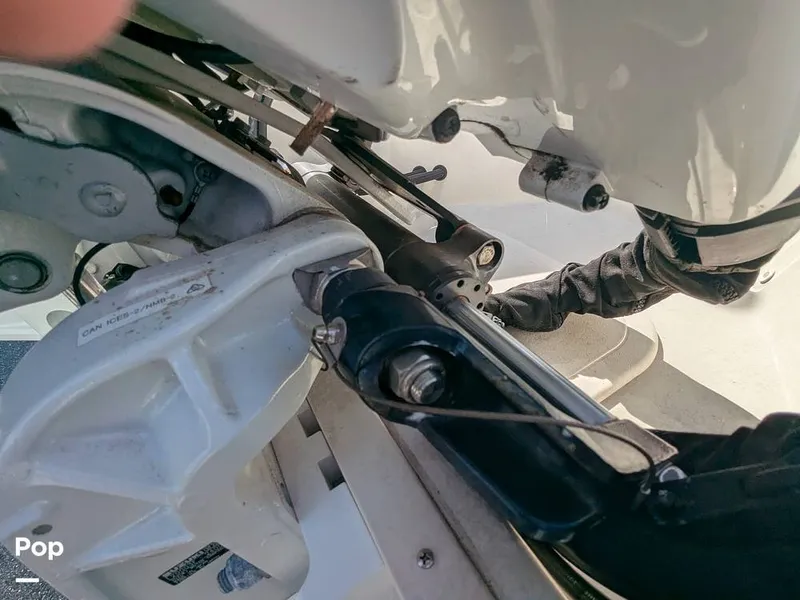 Slide: The Image of Stingray 216CC 2021 - 16190610