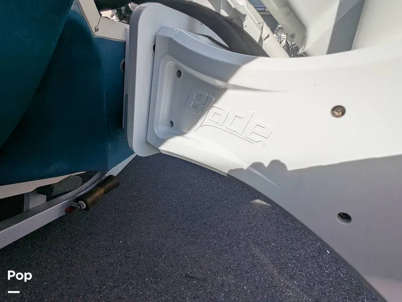 Slide: The Image of Stingray 216CC 2021 - 16190612